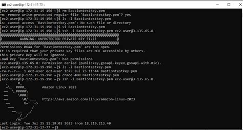 chmode|chmod 400 windows.